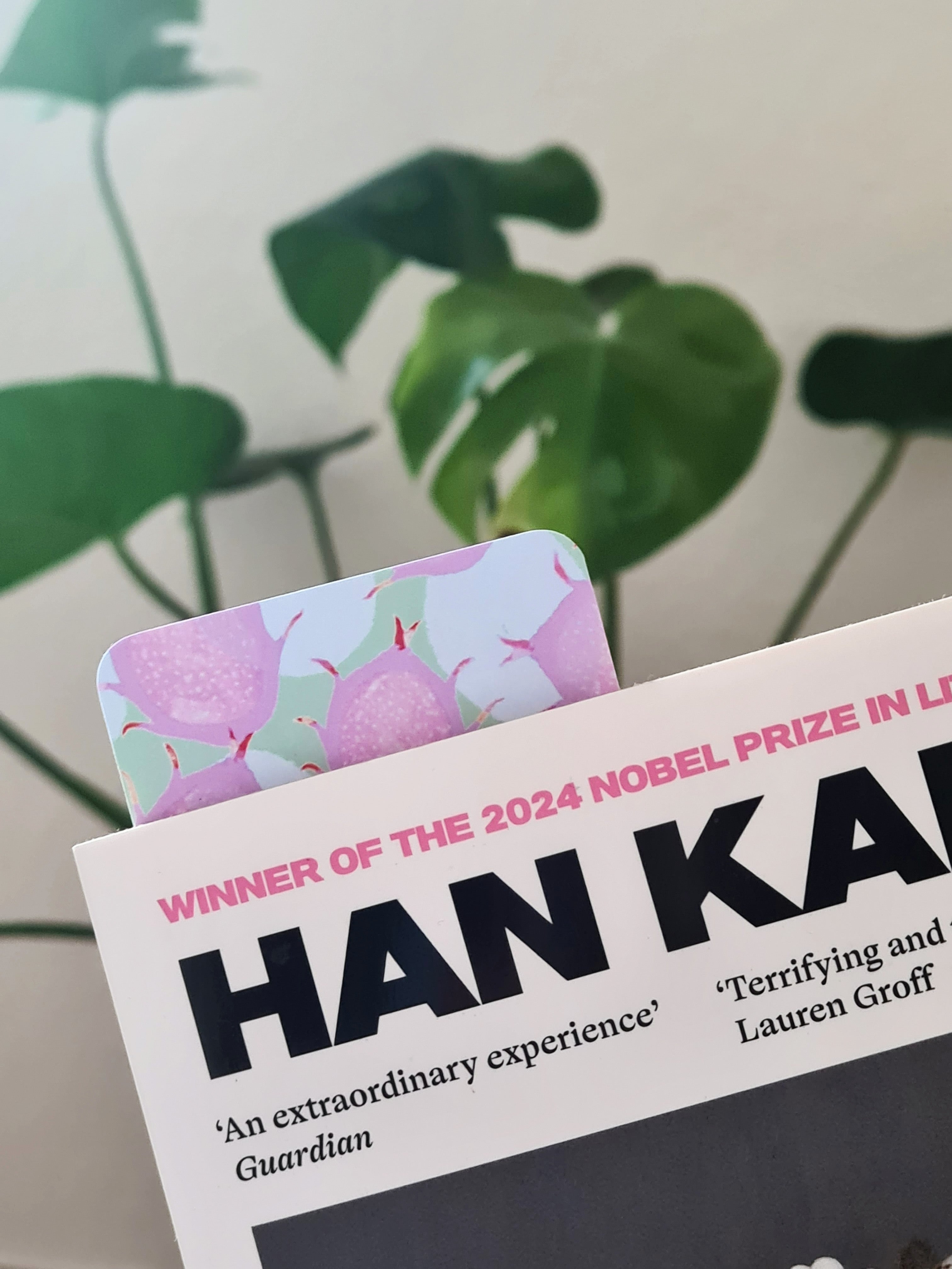 Fruity Abstract Bookmarks - Set of 3