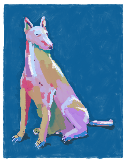 Colorful Doberman